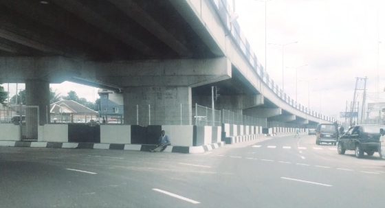 EIA of Rumuola Junction Flyover