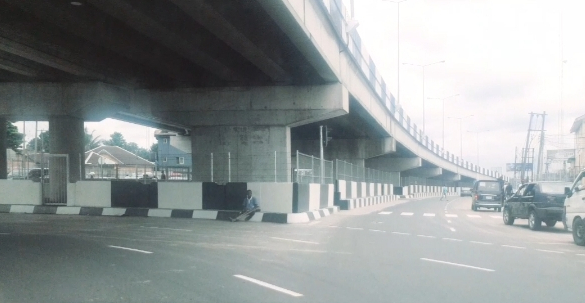 EIA of Rumuola Junction Flyover