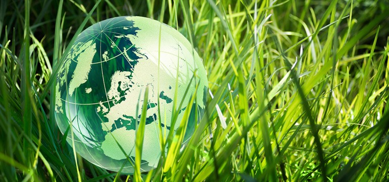 sustainable-banner
